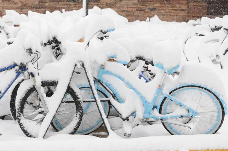 Snow-covered bikes