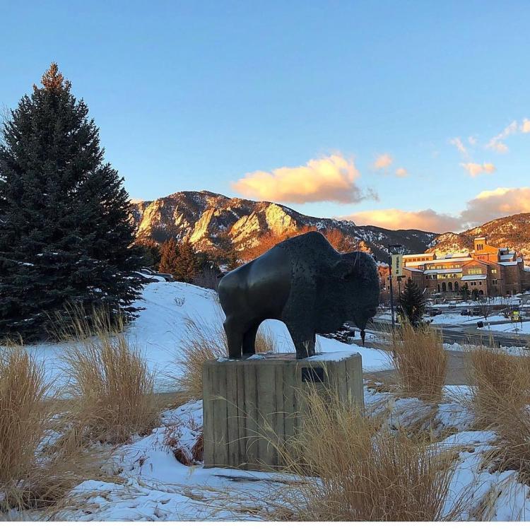 Snow-covered Buffalo statue. Photo by @cubuffsvb.