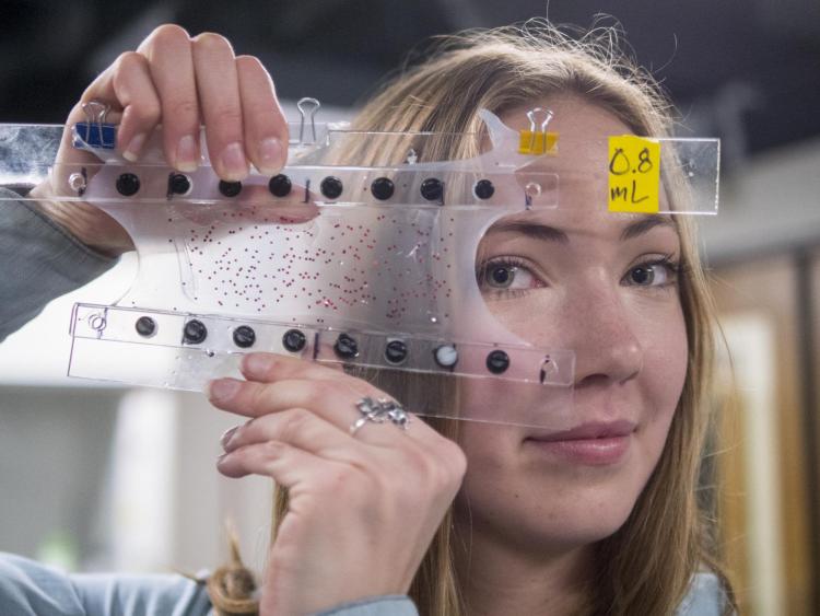 Undergraduate mechanical engineering major Madeline King stretches a sample of rubberized "muscle" or soft robot material in the Keplinger Research Lab. Members of the Keplinger Research Group of mechanical engineering students at CU Boulder showcase their research into soft robots or artificial muscle at their lab at CU Boulder Engineering Center..