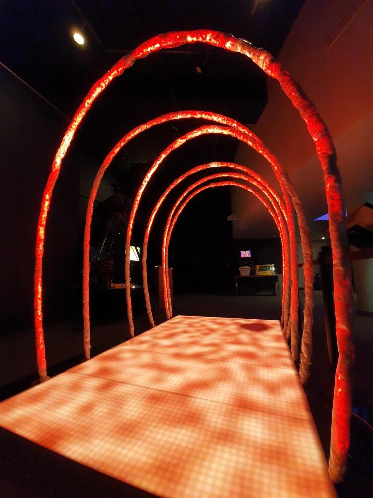 The "Solar Arcade" lets visitors walk underneath the sun's coronal loops