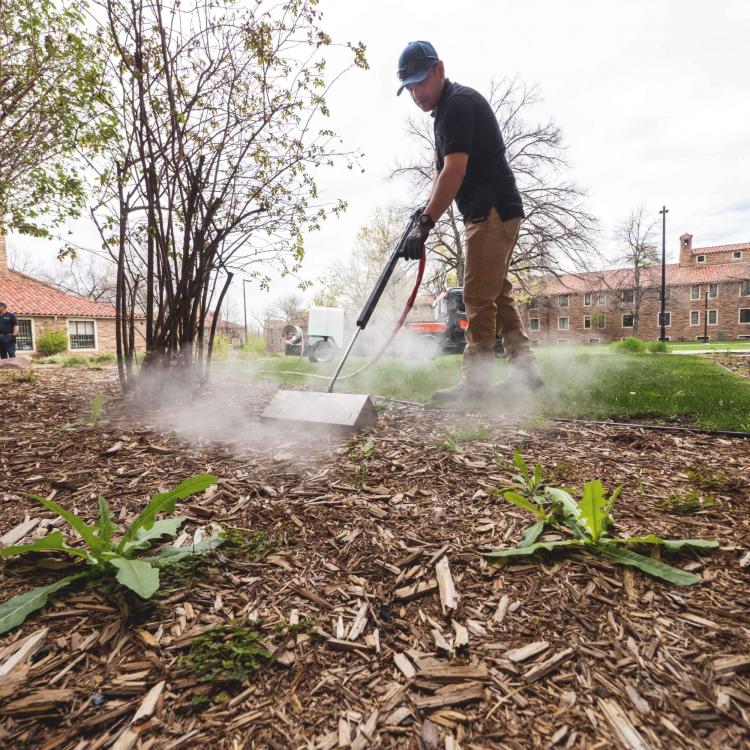 Grounds technician Pedro Vasquez uses a machine that provides hot steam to safely kill weeds