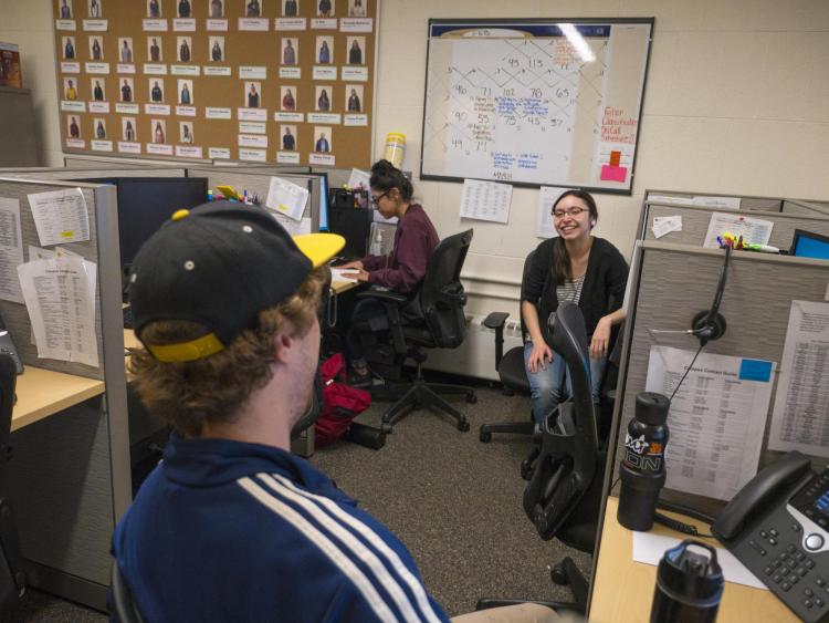 Three student works in office cubicles