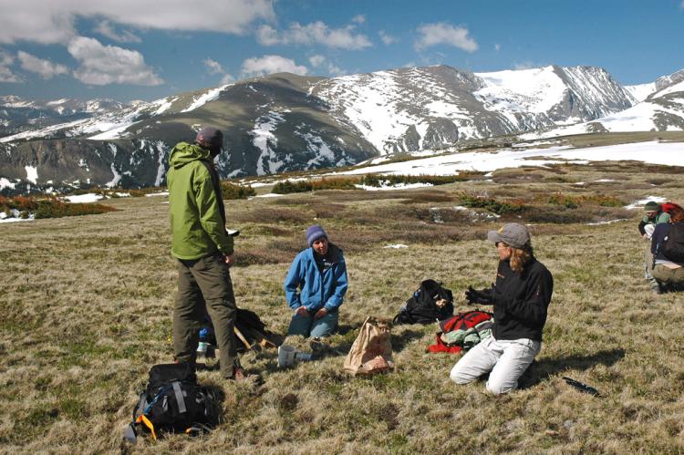 Former CU-Boulder postdoctoral researchers Amy Miller ( blue coat) and Katie Suding (black coat) are shown here with other members of a research team conducting a study involving nitrogen deposition on the tundra of the Niwot Ridge Long-Term Ecological Research site west of Boulder. (Photo courtesy William Bowman, INSTAAR)