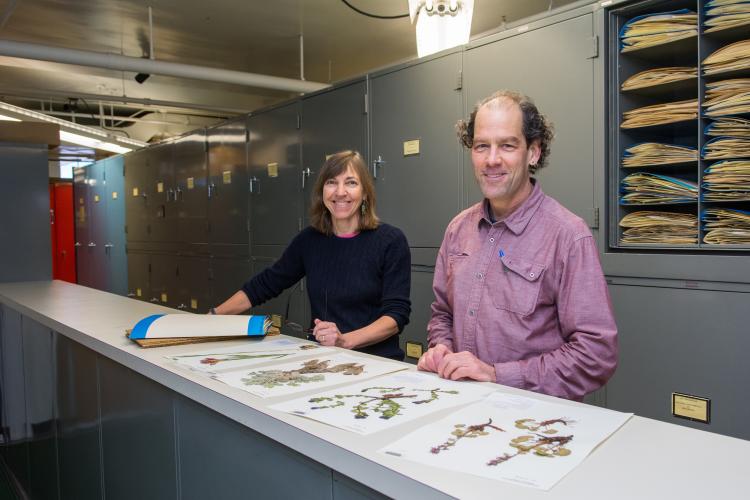 Tim Hogan and Dina Clark at the Museum of Natural History herbarium