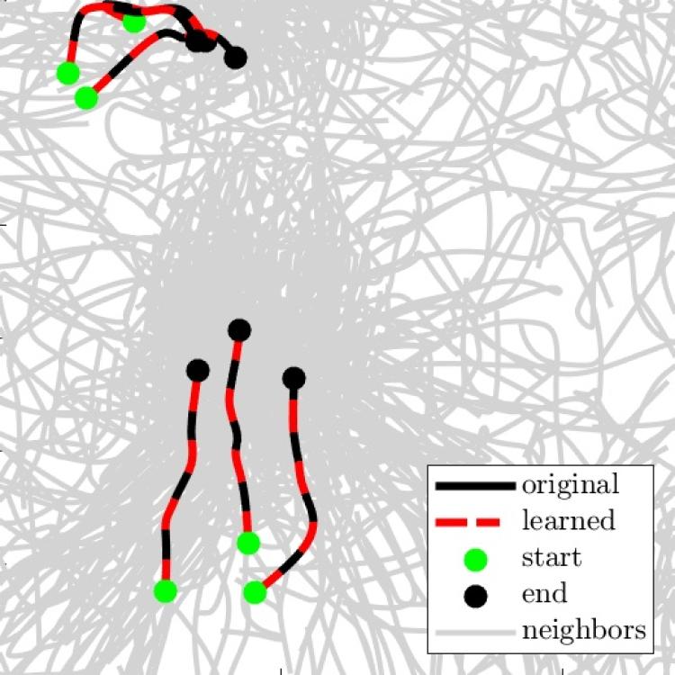 Graphic showing the path of simulated cells, in black squiggles, overlain by equations researchers learned to describe that motion, in dotted red lines.