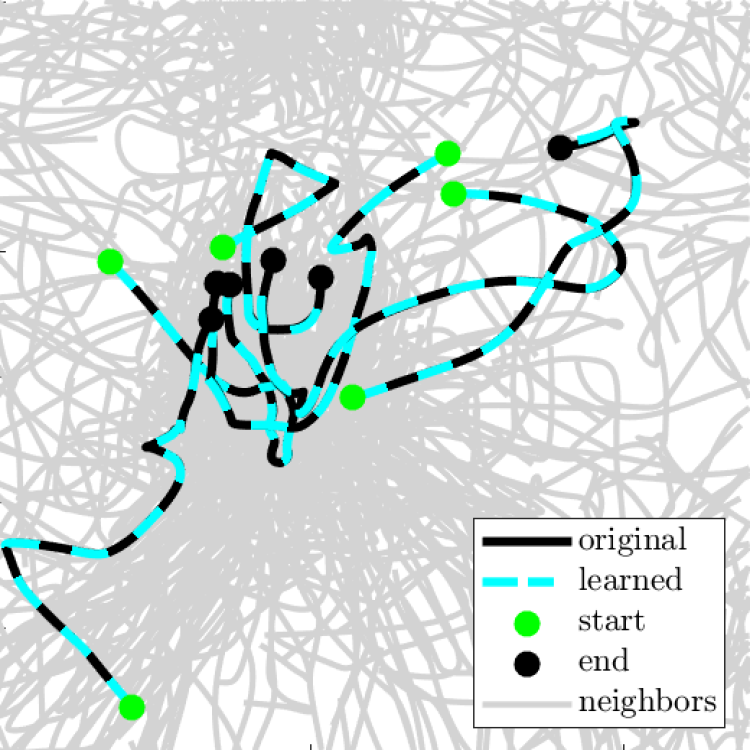Graphic showing the path of simulated cells, in black squiggles, overlain by equations researchers learned to describe that motion, in dotted blue lines.