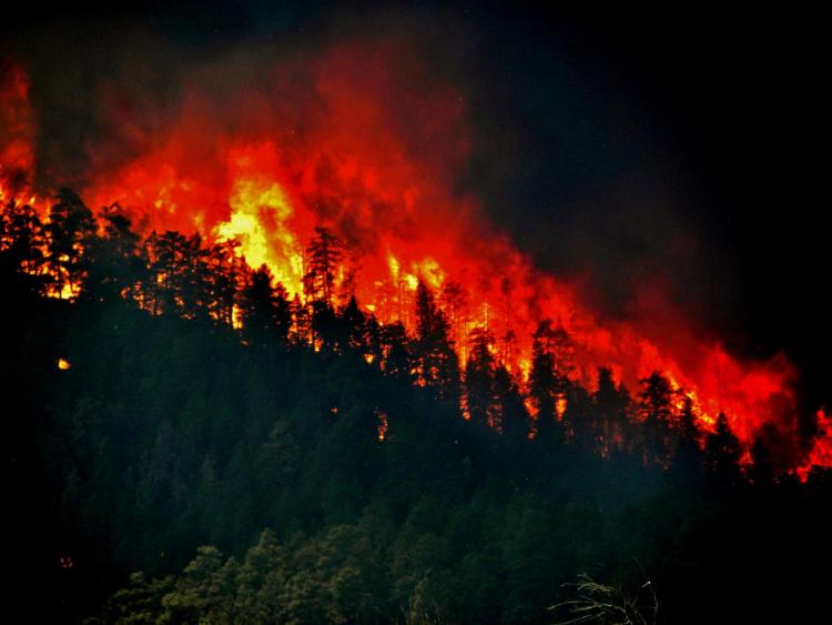 The high park fire