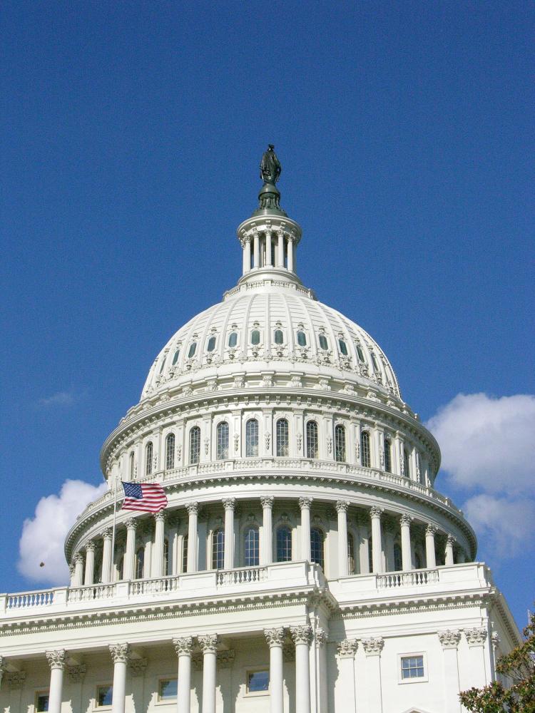 Capitol building dome in Washington, D.C.