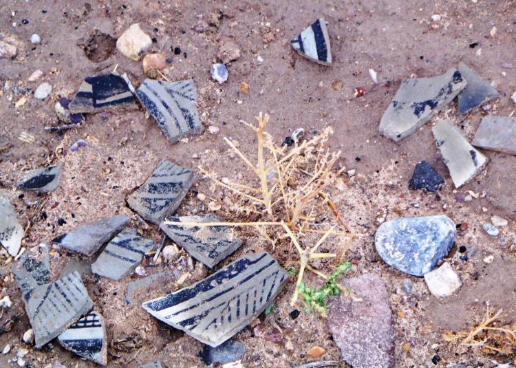 Fragments of centuries-old pottery in the dirt.