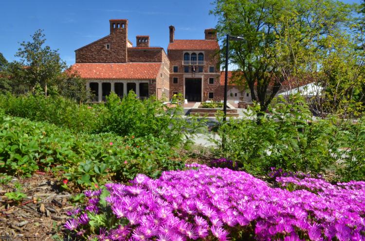 Flower bed near the UMC