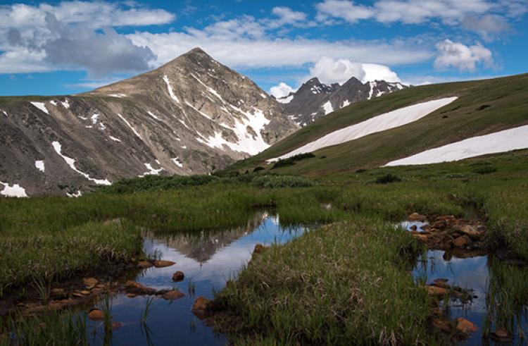Niwot Ridge