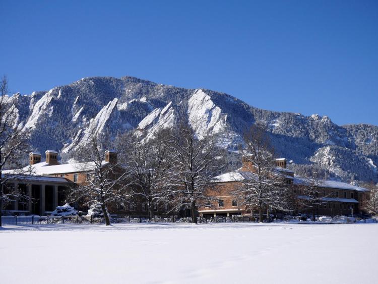 Trees at Farrand Field on Main Campus
