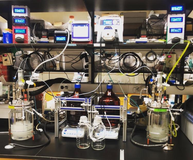 Laboratory equipment set up on a bench