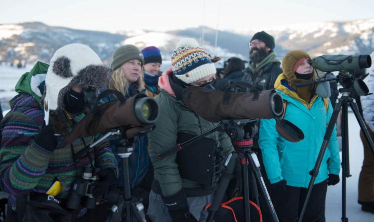 Winter Session group in Yellowstone