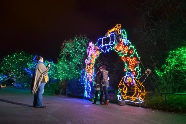 Zoo lights attendees pose in front of a lighted display at the Denver Zoo