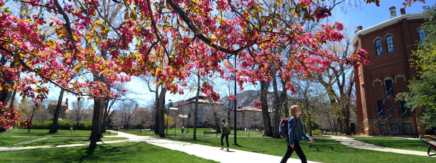 Student walking on campus on a spring day
