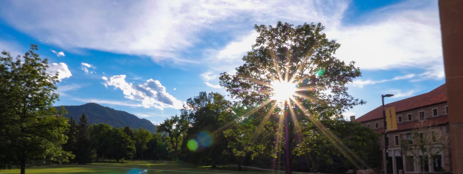 The sun shining through trees to the west of the CU Boulder campus