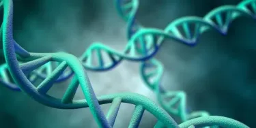 Gene picture