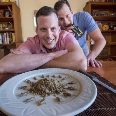 Insects for food