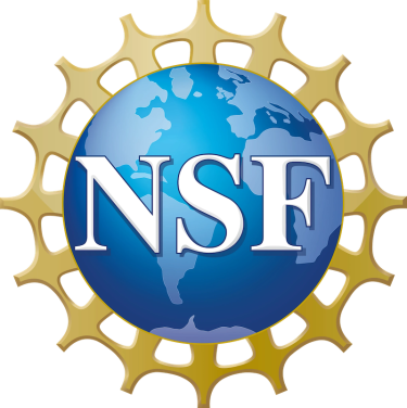NSF official logo