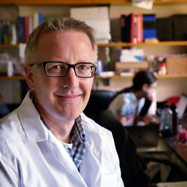 Professor Chris Lowry
