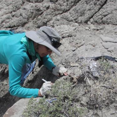 Woman on hillside uses tool to scratch away rock