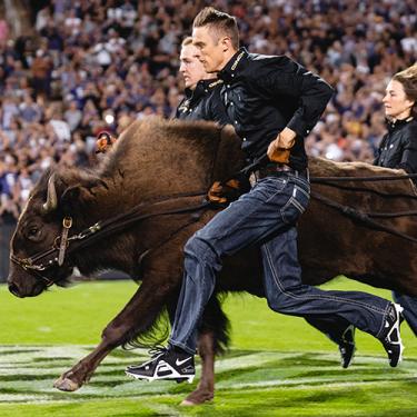 Wes Weber running with Ralphie the buffalo on Folsom Field