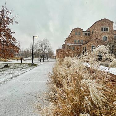 Snowy campus path