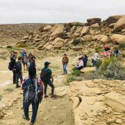 Students explore field sites