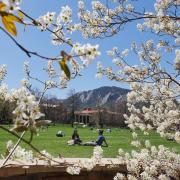 Spring blooms frame a scenic campus setting