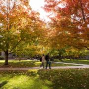 Students walk on campus