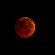 Blood Moon