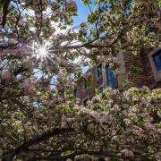 spring blooms on campus