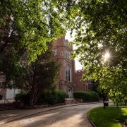 Sun filters through trees by Macky Auditorium on campus in June 2020