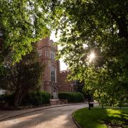 Sun filters through trees by Macky Auditorium on campus in June 2020