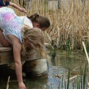 Children explore pond.