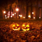 Jack-o-lanterns in the woods