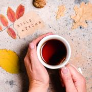 person holding coffee cup