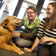 students petting a therapy dog