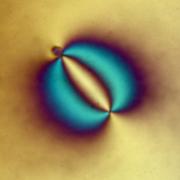 Microscopic view of light bending around a big atom