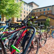 Bike racks on campus