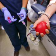 Nurse prepares patient for blood donation