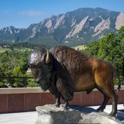 Ralphie statue on the CASE rooftop