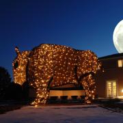 Light-up buffalo outside the chancellor's residence