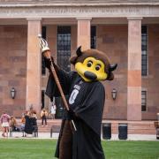 Chip the buffalo in commencement regalia