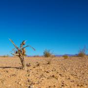 Dry, desert landscape