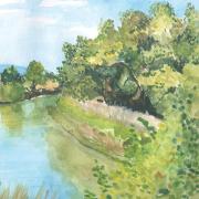 A watercolor painting of a creek.