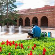 student working on laptop outside on campus near spring flowers