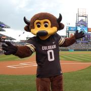Chip stands on Coors Field in Denver, home of Colorado Rockies