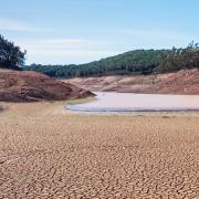 sandy land with low water